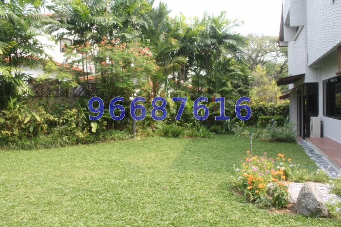 Faber Hills (D5), Semi-Detached #46379282